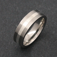 Titanium Ring - Silver Tausert